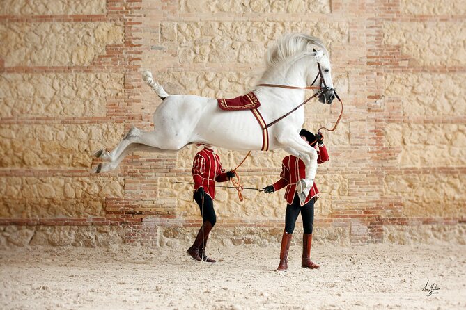 Equestrian Show Royal Stables of Córdoba - Location and Venue Details