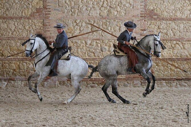 Equestrian Show Royal Stables of Córdoba - Future Events and Competitions