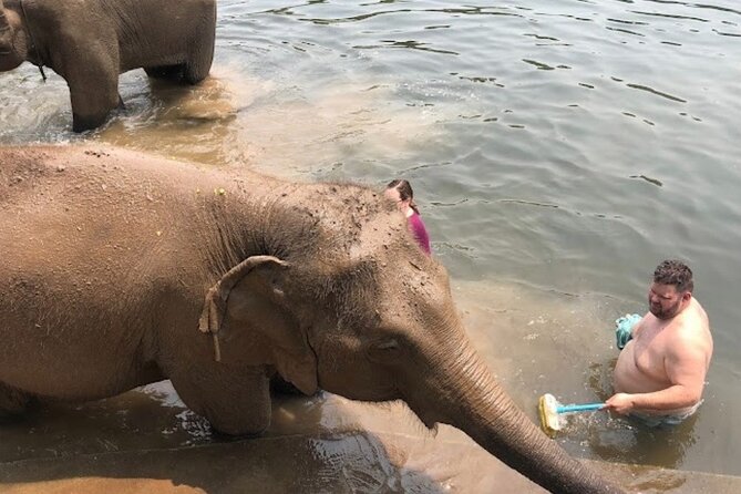 Erawan Waterfall and Elephant Care From Bangkok -Private Tour - Traveler Requirements