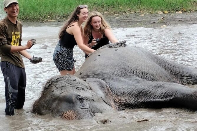 Erawan Waterfall and Elephant Care From Bangkok -Private Tour - Erawan Waterfall Exploration