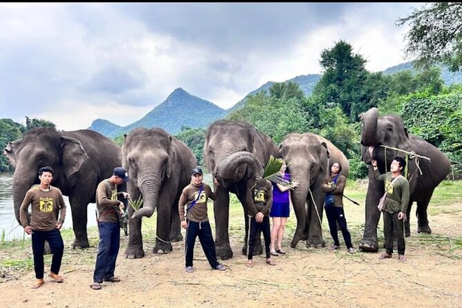 Erawan Waterfall and Elephant Care From Bangkok -Private Tour - Additional Information
