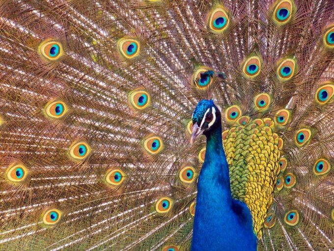 Erfurt: Erfurt Zoo Entry Ticket - Customer Ratings and Feedback