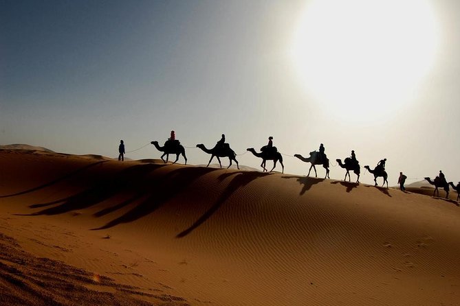 Erg Chegaga Desert in Two Days One Night From Zagora - Exploring Erg Chegaga on Camelback