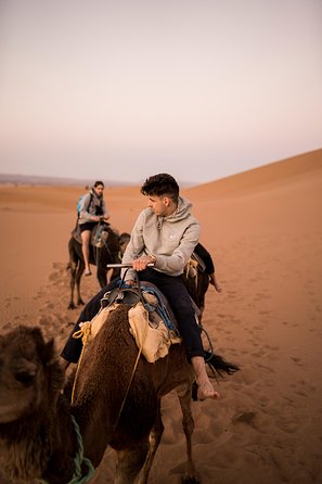 Erg Chegaga Desert in Two Days One Night From Zagora - Reviews and Ratings Breakdown