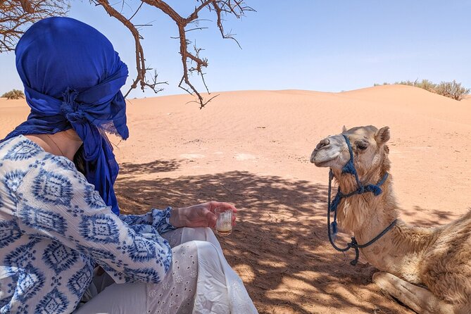 Erg Chigaga Desert Tour From Mhamid by 4x4 Morocco Sahara Dunes - Pickup Details