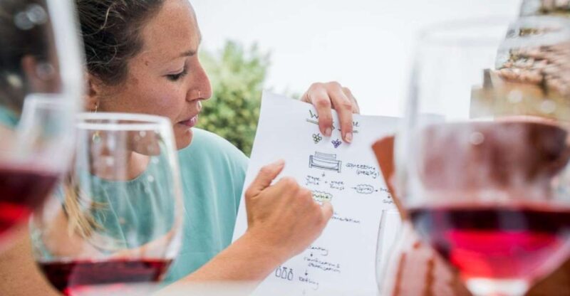 Ericeira: Private Portuguese Wine Tasting - 4 Wines & Snacks - Terroir-driven Wine Profiles