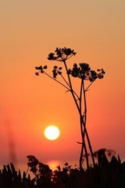 Ericeira: Private Sunset Bike Tour - Included in the Experience
