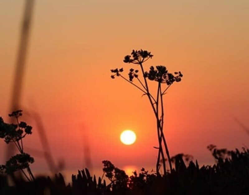 Ericeira: Private Sunset Bike Tour - Frequently Asked Questions