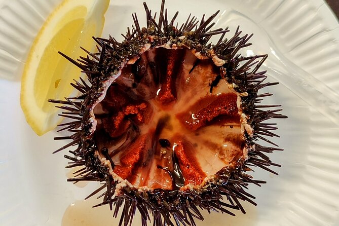 Ericeira Private Tour: 10 Tastings Food Tour - Meeting and End Points