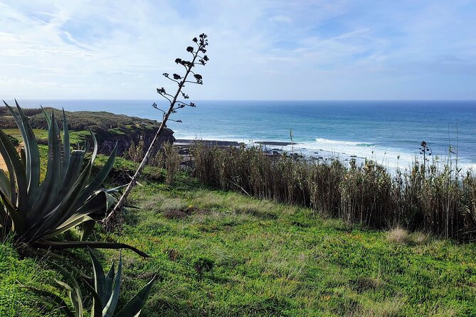 Ericeira Private Tour: 10 Tastings Food Tour - Highlights of the Tour