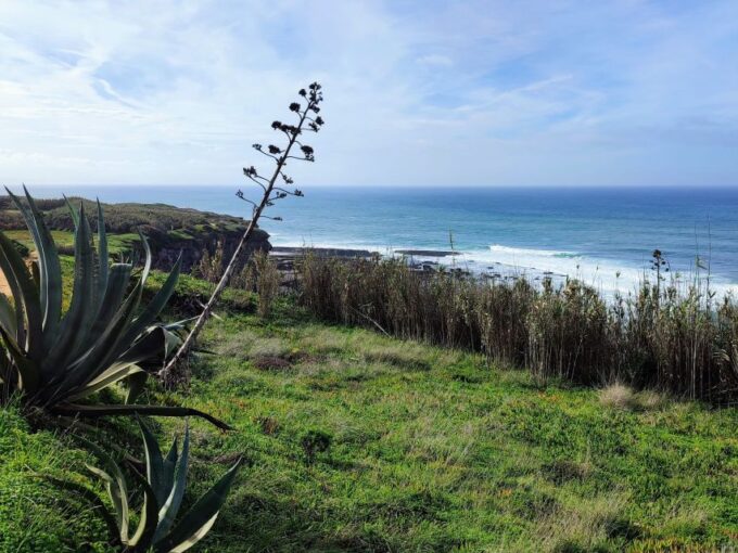 Ericeira Private Tour: 10 Tastings Food Tour - Child-Friendly Tour