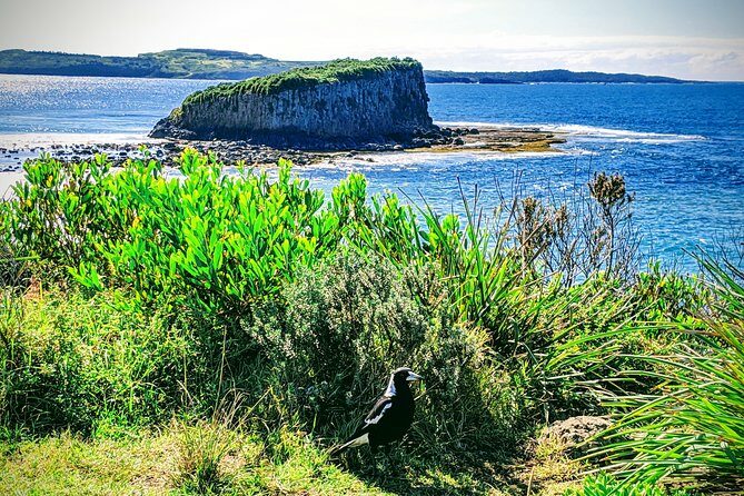 Erupting Blowholes and Ancient Rainforests SOUTH COAST OF SYDNEY PRIVATE TOUR - What Travelers Say