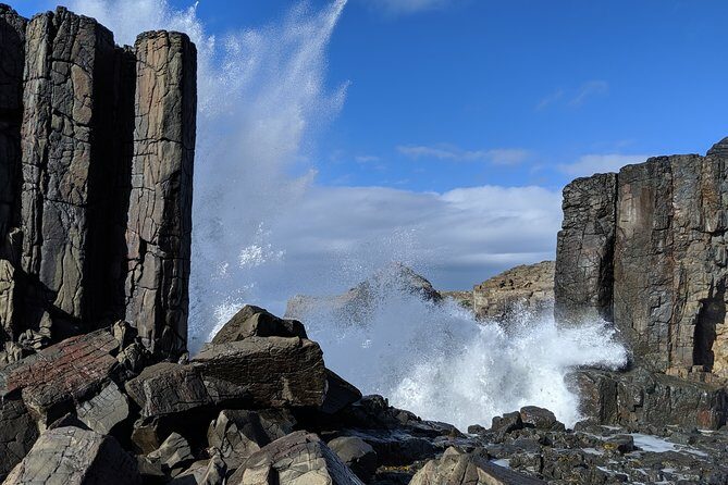 Erupting Blowholes and Ancient Rainforests SOUTH COAST OF SYDNEY PRIVATE TOUR - Practical Details and Tips