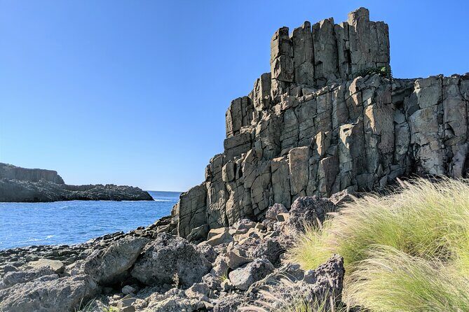Erupting Blowholes and Ancient Rainforests SOUTH COAST OF SYDNEY PRIVATE TOUR - Who Should Consider This Tour?