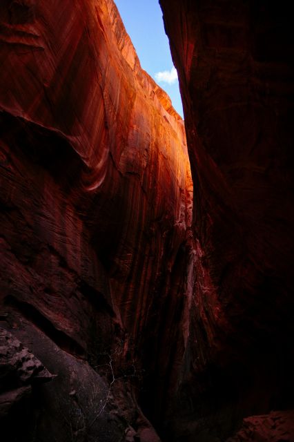Escalante: Full-Day Private Tour & Hike - Guides and Expertise