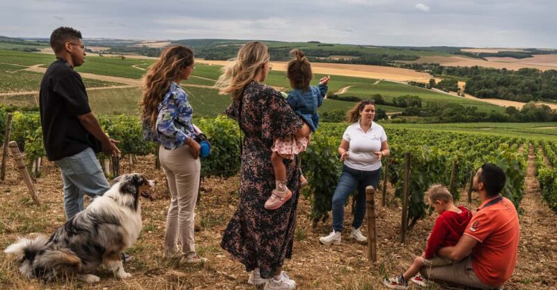 Escapade and Tasting in the Chablis Vineyards - Experience Details