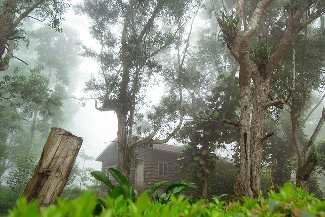 Escape Accra City to Aburi Gardens and Tetteh Quarshie Cocoa Farms - Delving Into Cocoa Farm History