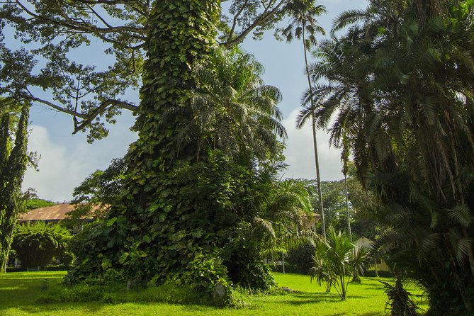 Escape Accra City to Aburi Gardens and Tetteh Quarshie Cocoa Farms - Logistics and Transportation Included