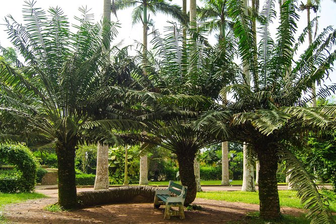 Escape Accra City to Aburi Gardens and Tetteh Quarshie Cocoa Farms - Flexible Cancellation Policy