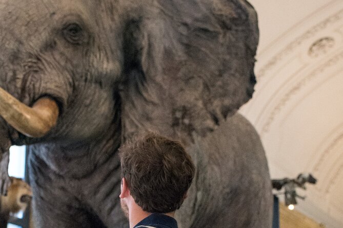 Escape Game at the Royal Museum for Central Africa - Meeting Point and Additional Information