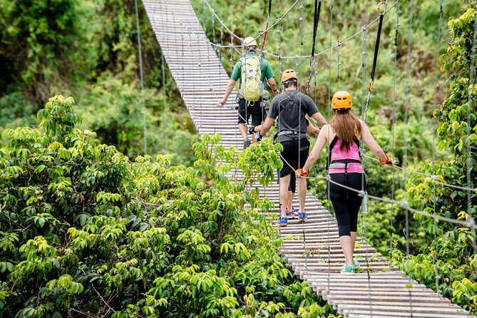 Escape if You Can - Participant Requirements