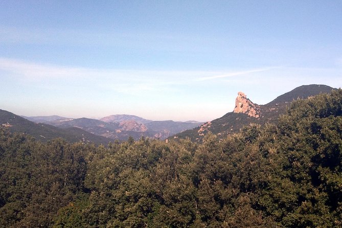 Escape Into Sardinia - Health and Safety Requirements