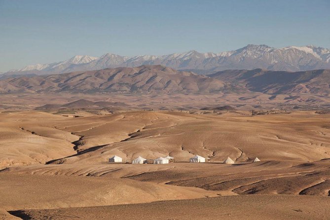 Escape Marrakech: Agafay Desert & Lalla Takerkoust Lake Day Trip - Pricing and Cancellation