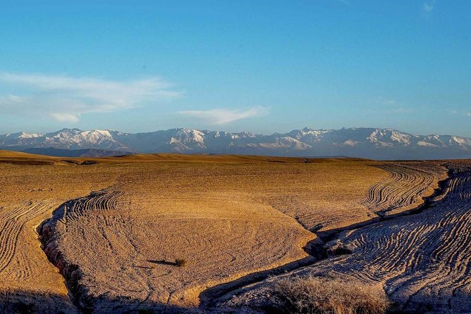 Escape Marrakech: Agafay Desert & Lalla Takerkoust Lake Day Trip - Highlights of the Day Trip