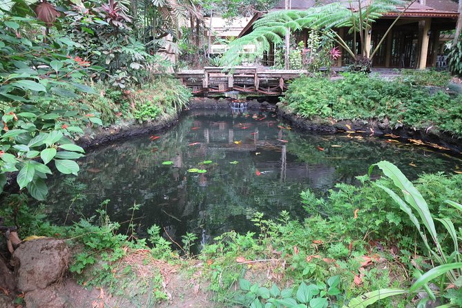 Escape to Enchanting Hidden Valley Springs! With Transfers*** - Accessibility and Booking