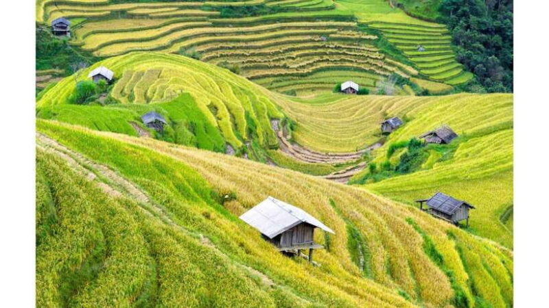 Escape to Mai Chau: 2-Day Adventure in the Heart of Hoa Binh - Discover the Breathtaking Rice Terraces
