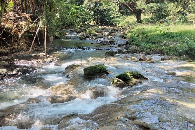 Escape to Nature at Benta River Falls From Montego Bay - About Your Stay