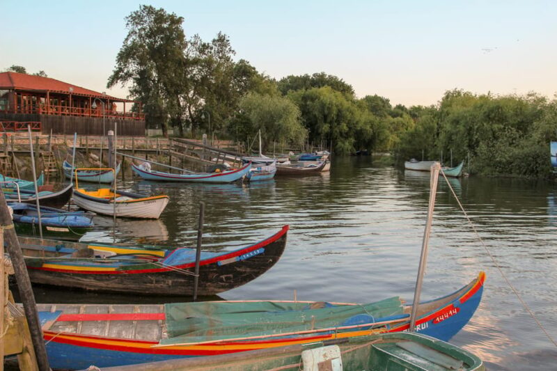 Escaroupim: 1 Hour Boat Trip, Guided Tour - Experience Highlights