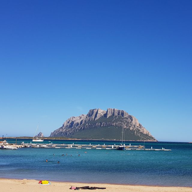 Esclusive Private Boat Experience - Potential Dolphin Sightings