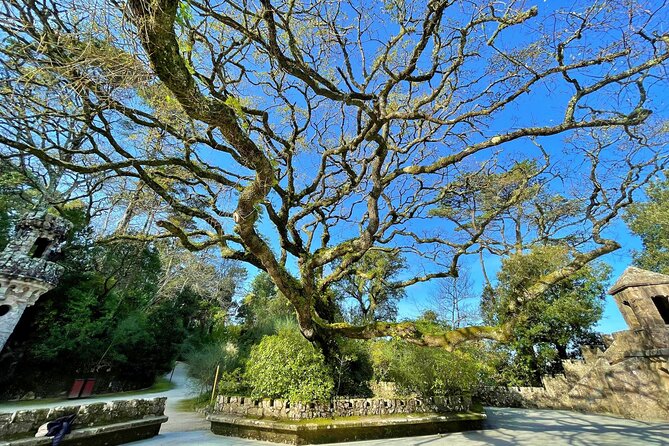 Esoteric Journey Through the Park and Palace of Regaleira - Exploring the Quinta Da Regaleira