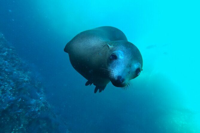 Espiritu Santo Island and sea lions - Itinerary Breakdown: What to Expect