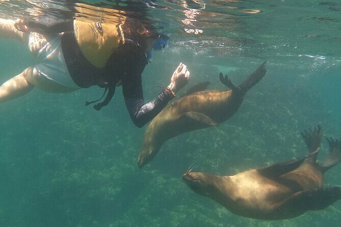 Espiritu Santo Island and sea lions - Final Thoughts: Who Should Book This Tour?