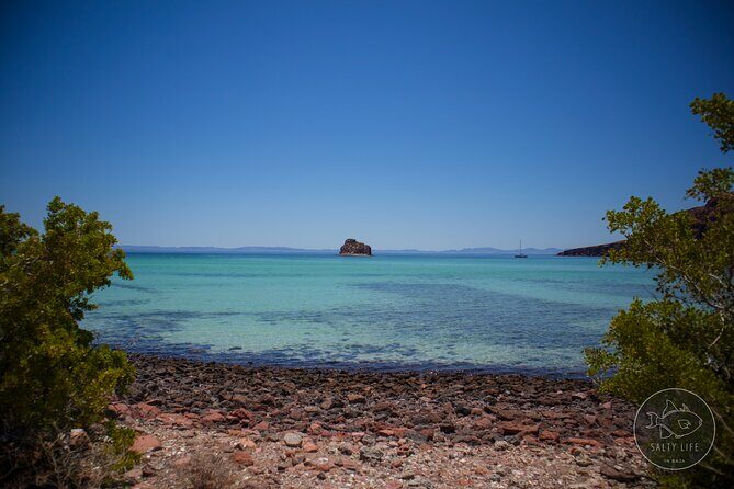 Espiritu Santo Island and sea lions - Frequently Asked Questions