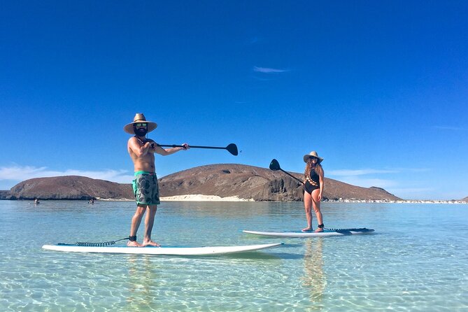 Espiritu Santo Island Combo: Sea Lions and Paddleboard 1 to 6 Private Group - Available Activities