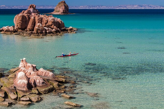 Espiritu Santo Island Day Tour - Customer Reviews and Feedback