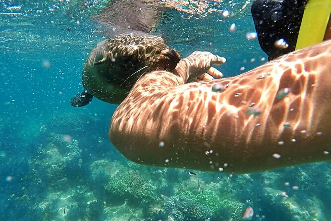 Espiritu Santo Island Day Tour - Recommendations and Tips