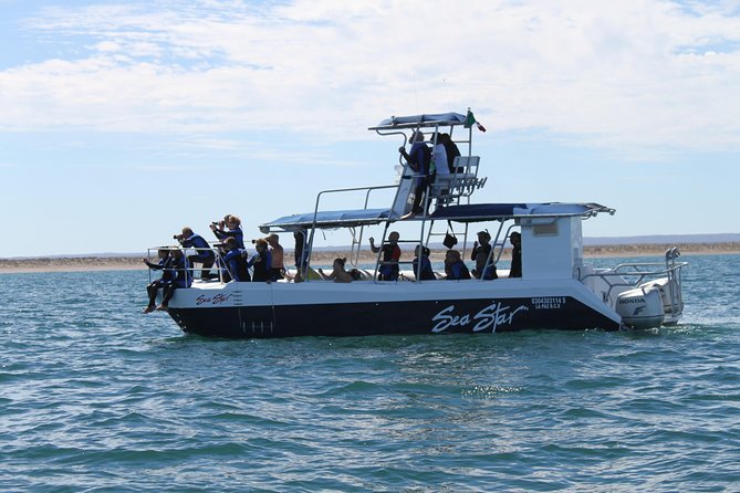 Espiritu Santo Island Snorkel & Sea Lion Adventure - Confirmation and Availability