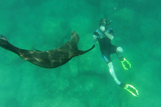 Espiritu Santo Island Snorkel & Sea Lion Adventure - Customer Reviews