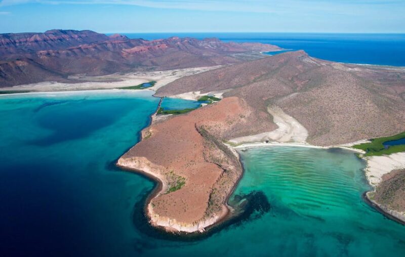 Espiritu Santo Island: Snorkeling Sea Lion Adventure - Key Points