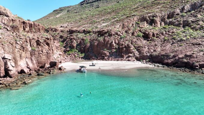 Espiritu Santo Island: Snorkeling Sea Lion Adventure - Customer Feedback