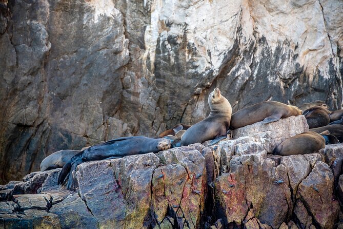 Espiritu Santo Island Tour - Inclusions