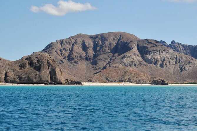 Espiritu Santo Island Tour - Guest Experiences