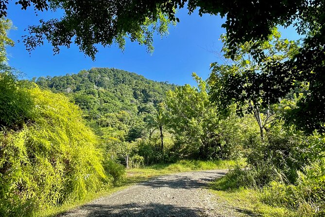 Esquipulas Rainforest - Private Birding - Fully Customizable Tour - Overview