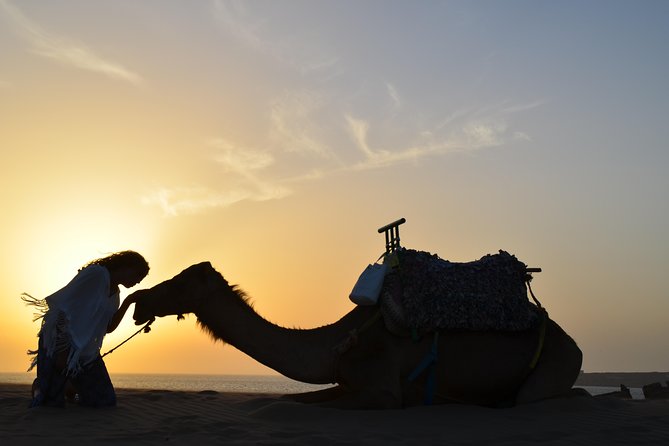 Essaouira: 1/2 Day Camel Ride With Meal. - Accessibility and Participation