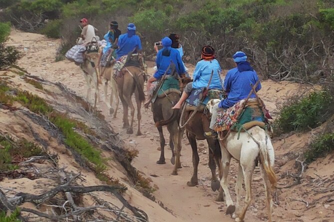 Essaouira 1 Hour Discovery Ride on the Back of a Camel - Meeting Point and Details