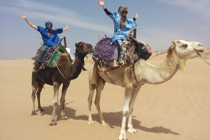 Essaouira 1 Hour Discovery Ride on the Back of a Camel - Pickup and Transportation